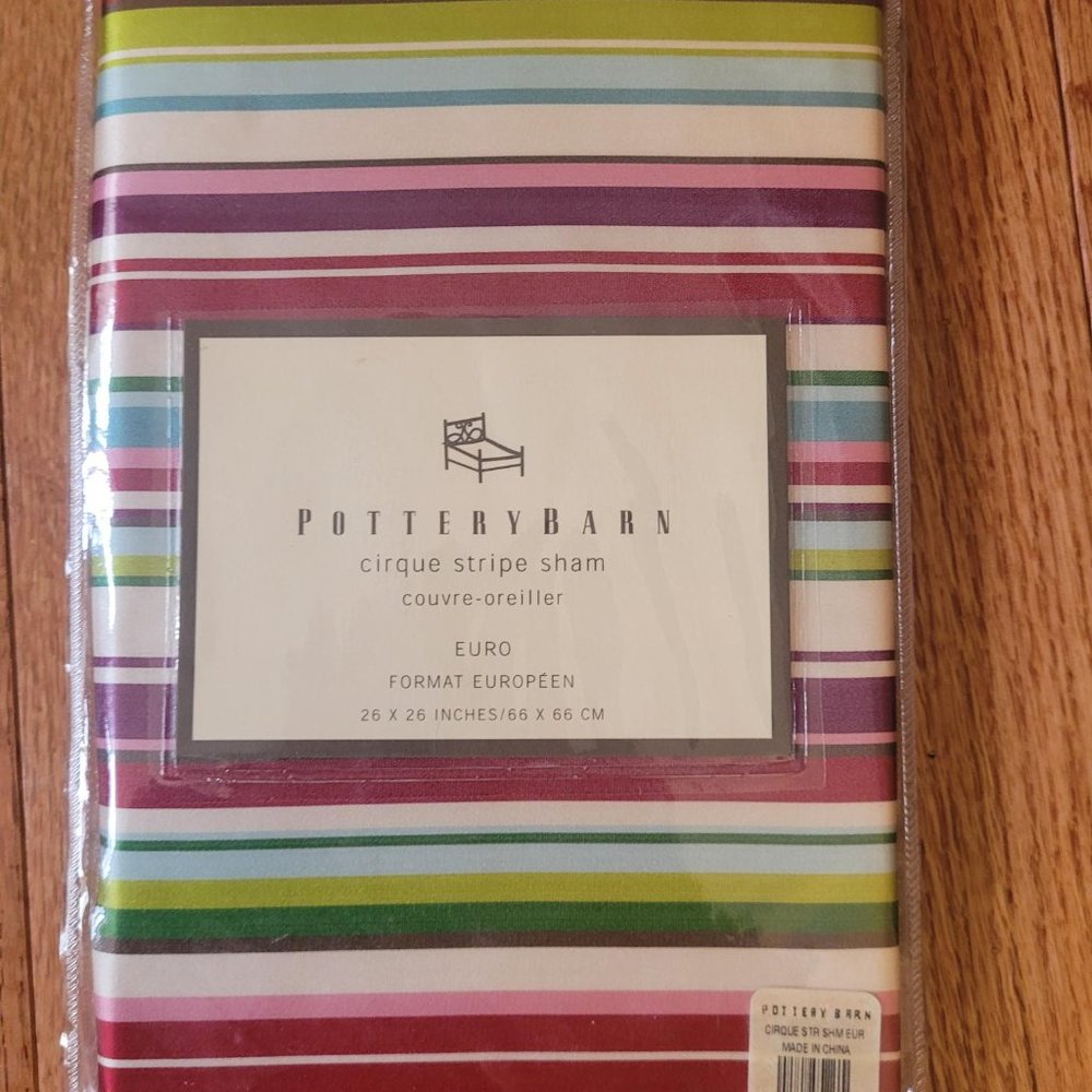 2 Pottery Barn Cirque Stripe Silk  Euro Shams